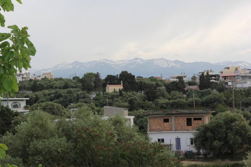 Άνετο Και Πολυτελές Οροφοδιαμέρισμα 2 ハニア エクステリア 写真